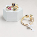 ANILLO